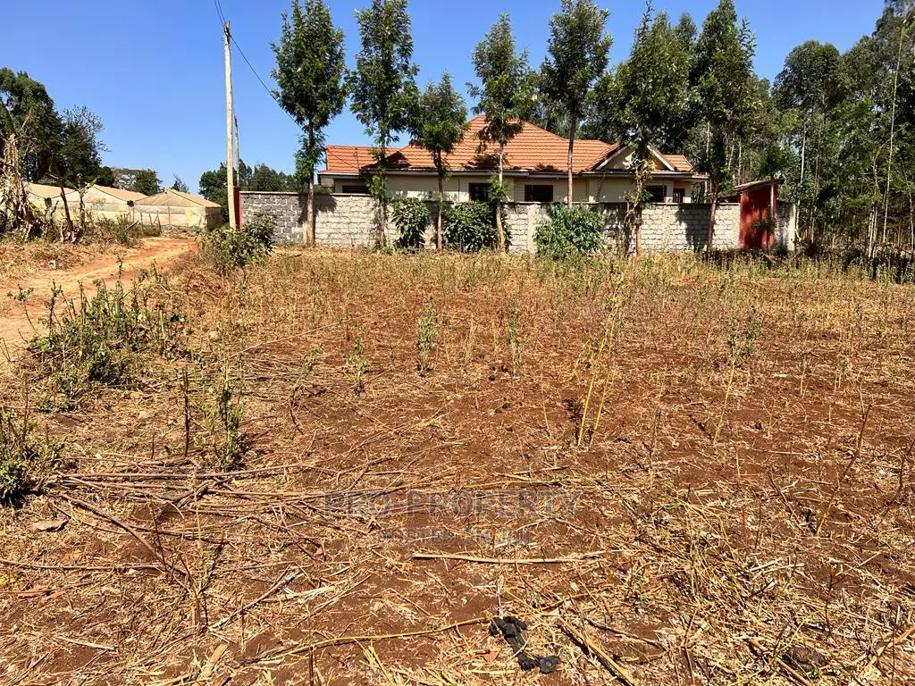 100 X 100ft Residential Plot For Sale In Kikuyu, Ondiri.