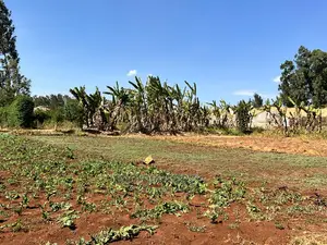 100 X 100ft Residential Plot For Sale In Kikuyu, Ondiri.