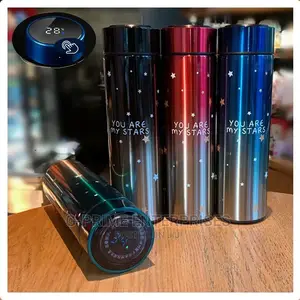 Vacuum Thermal Flask