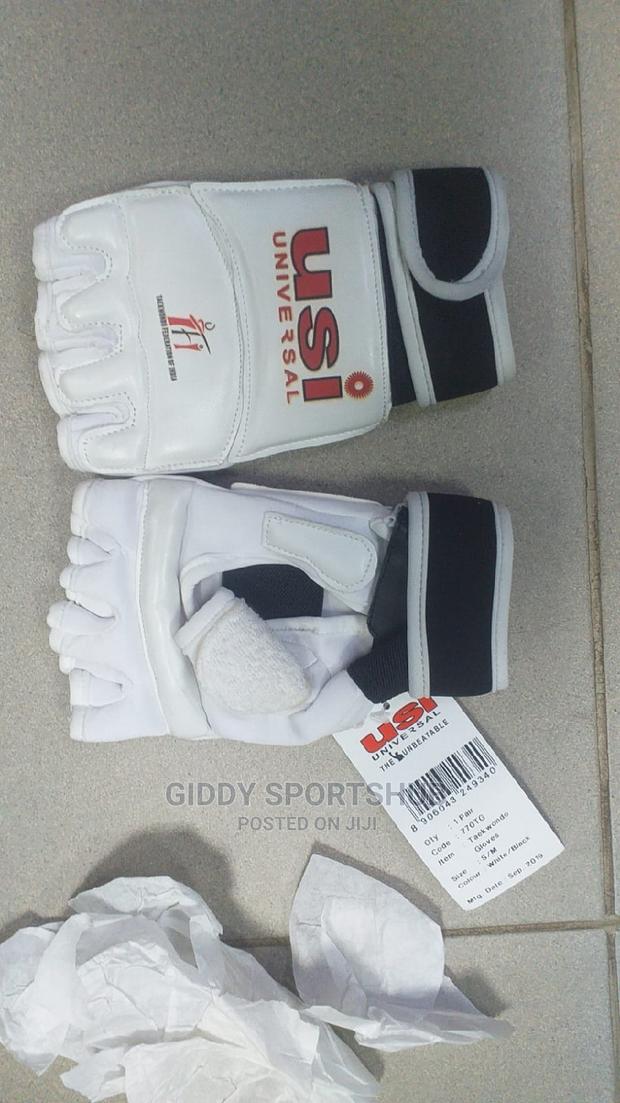 Taekwondo Gloves - main view