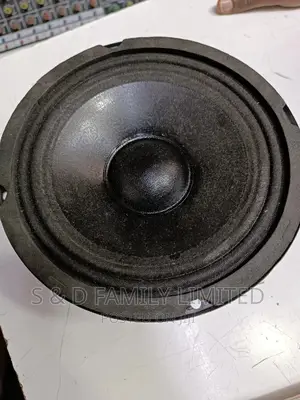 Derwel 6 Inch Naked Speakers