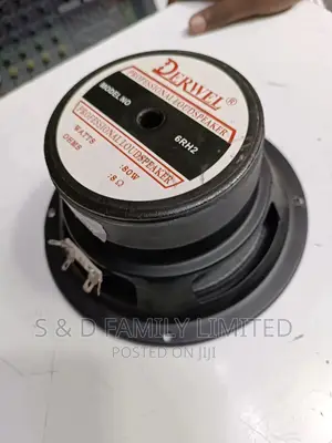 Derwel 6 Inch Naked Speakers