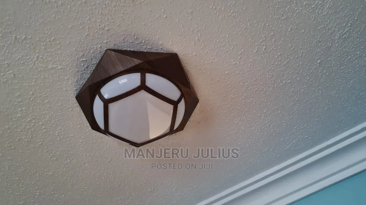 Led Ceiling Light