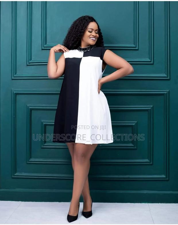 Classy Ladies Shift Dresses - main view