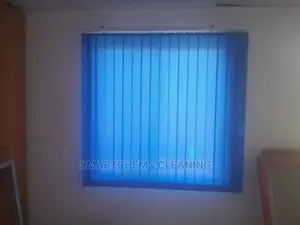 Blind Curtains