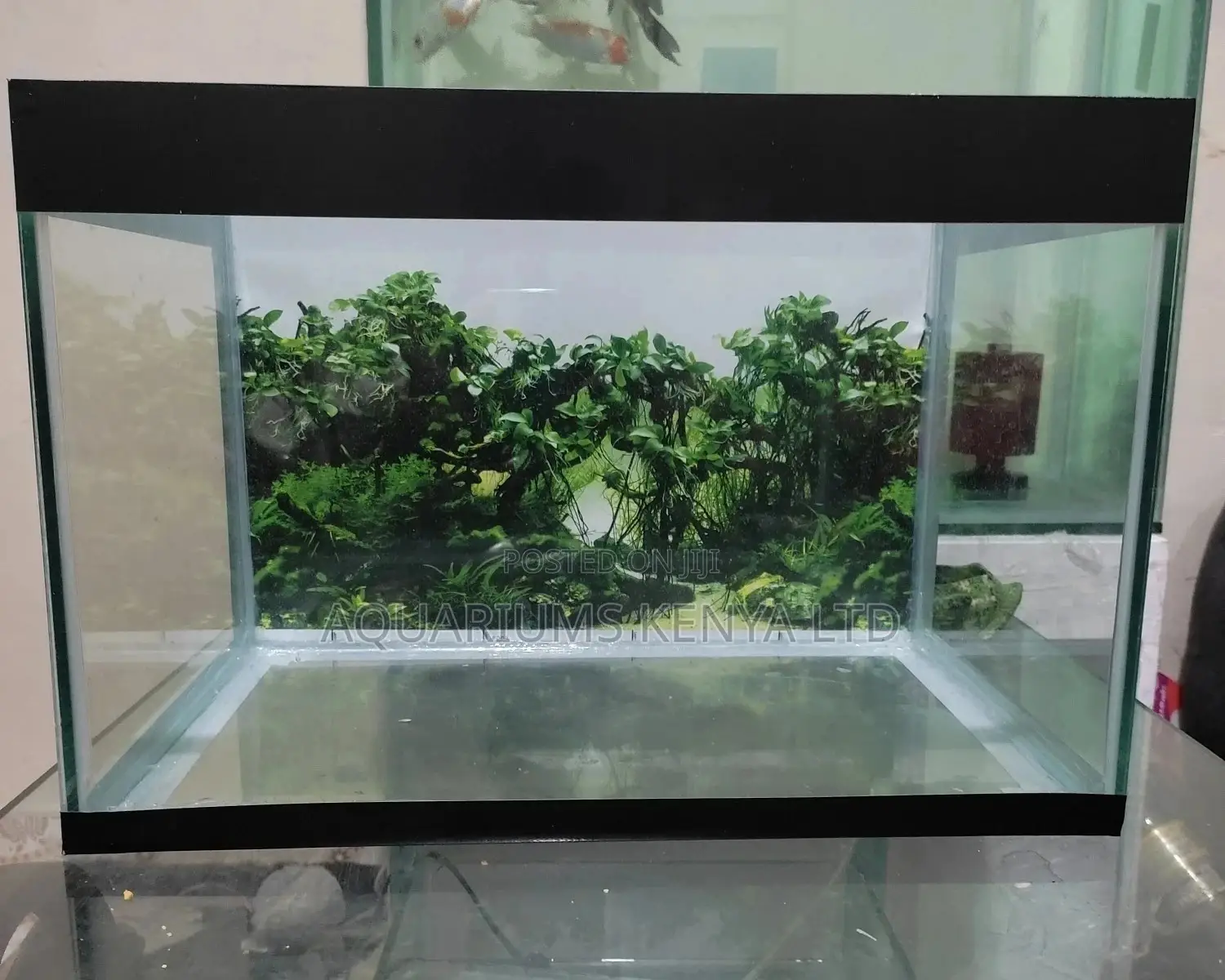 40 Litres Aquarium,Complete Small Aquarium
