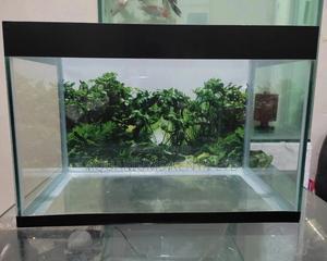 40 Litres Aquarium,Complete Small Aquarium - main view