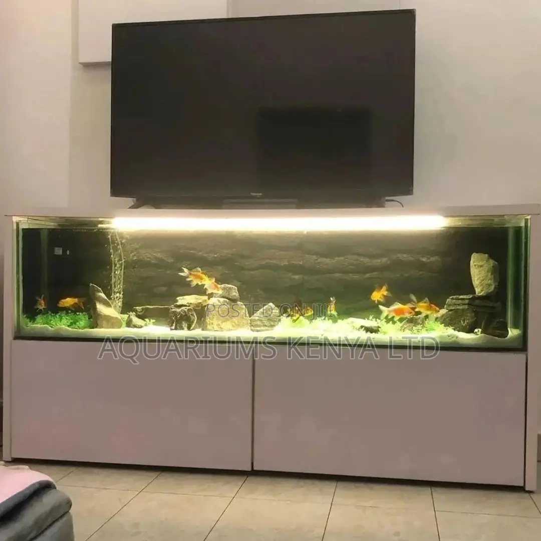 5ft Aquarium With Stand for Tv Stand Aquarium