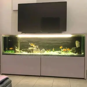 5ft Aquarium With Stand for Tv Stand Aquarium