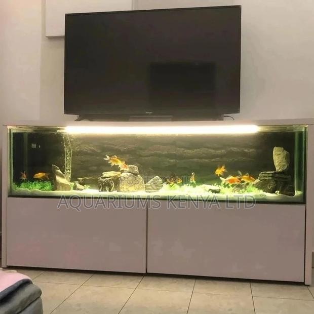 5ft Aquarium With Stand for Tv Stand Aquarium