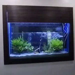 Double Sided Wall Aquarium , Mini Aquarium