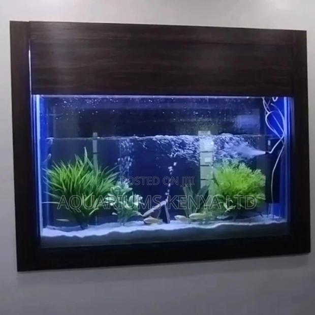 Double Sided Wall Aquarium , Mini Aquarium - thumbnail 3
