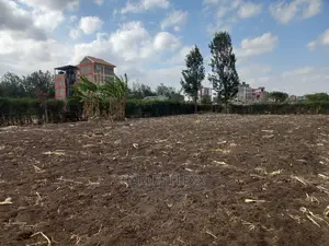 Commercial Plot for Sale Ruiru at Thika Road