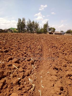 1/4 Plot Duka Moja Kaptagat Road - main view