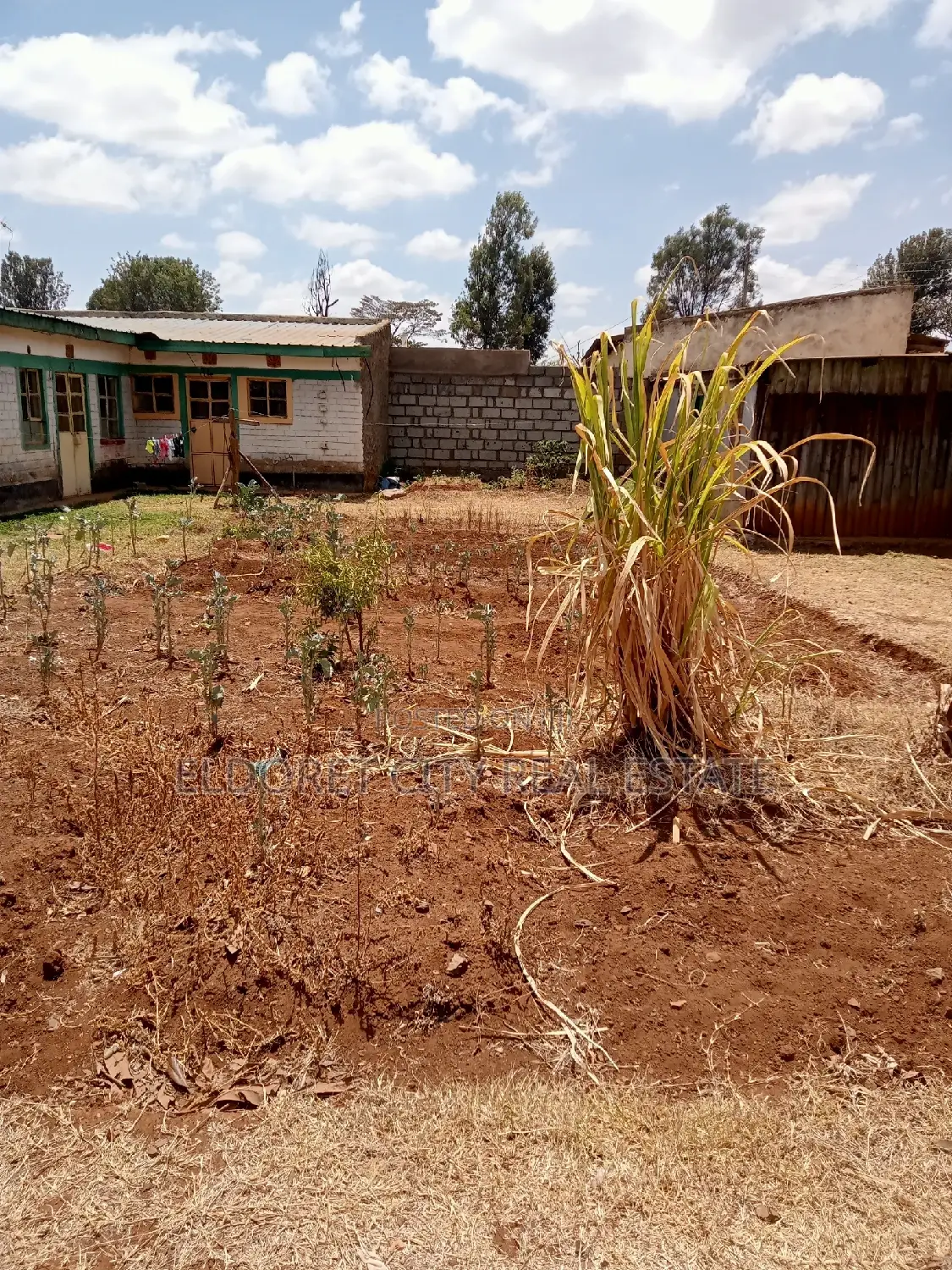 1/8 Plot Kimumu With Someone Structures.