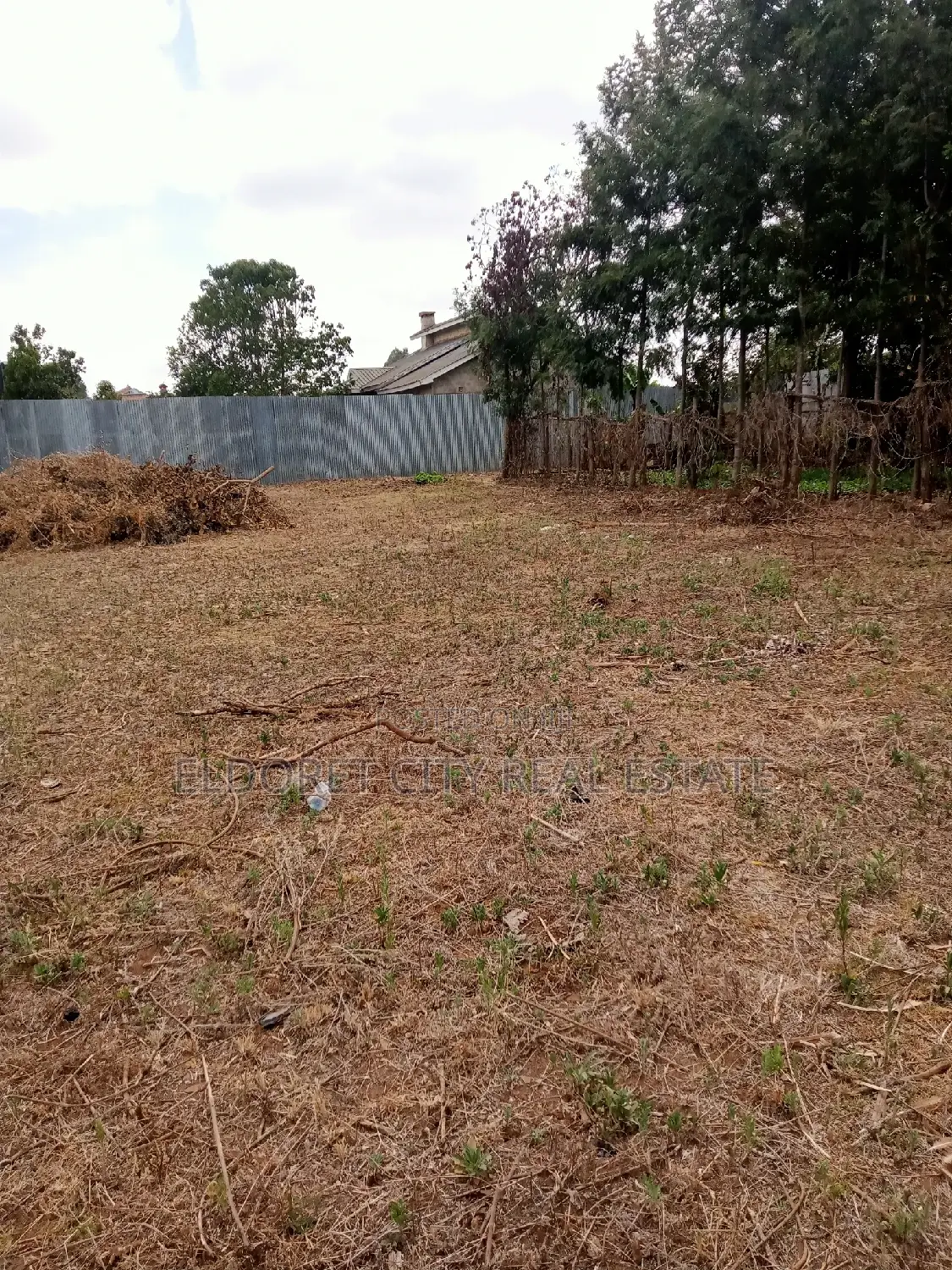1/4 Plot Kimumu Junction