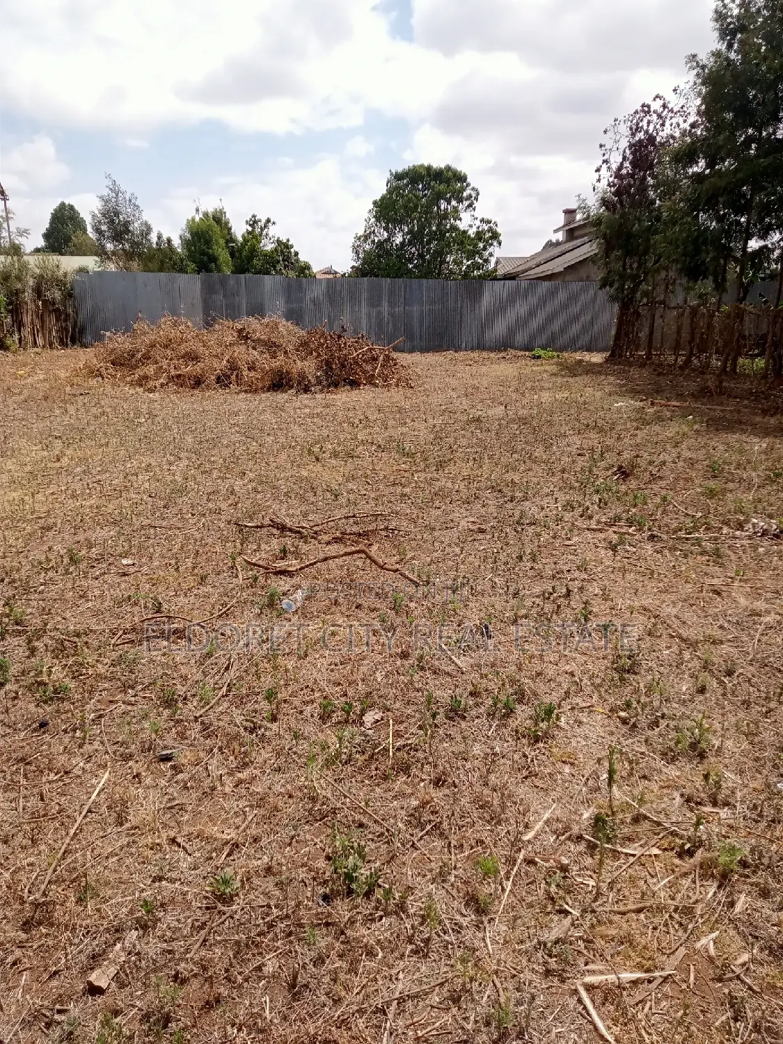 1/4 Plot Kimumu Junction