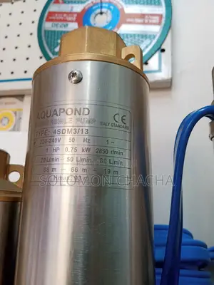 Aquapond 1hp Submersible Pump