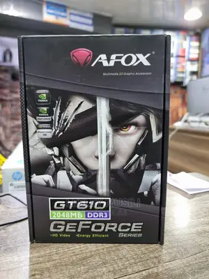 NVIDIA Geforce GT610 2GB DDR3 64-Bit PCIE 2.0 Graphics Card