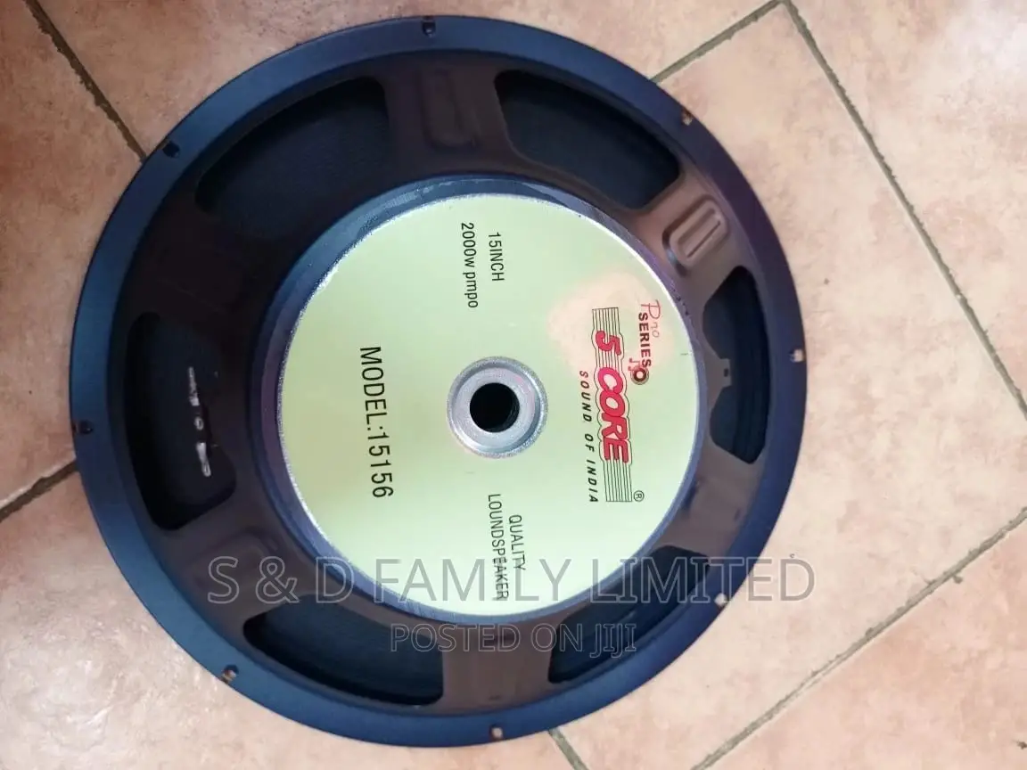 5 Core 15156 15 Inch Naked Speaker