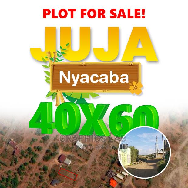 Juja Nyacaba Plot for Sale - main view