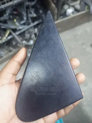 Ex Japan Side Mirror Finishers for Axio on Sale