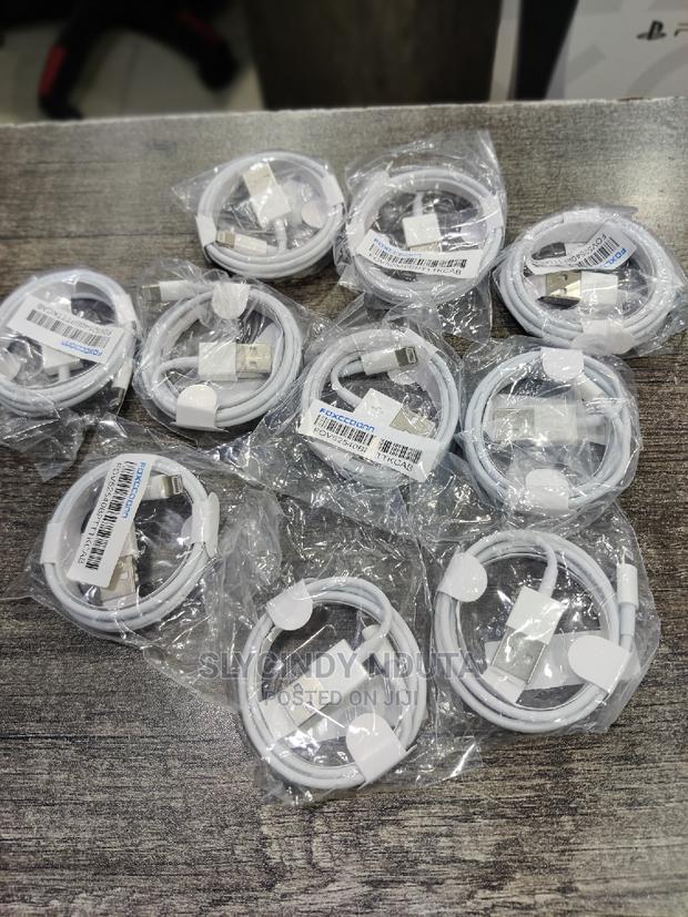 Original iPhone Charging Cables - main view