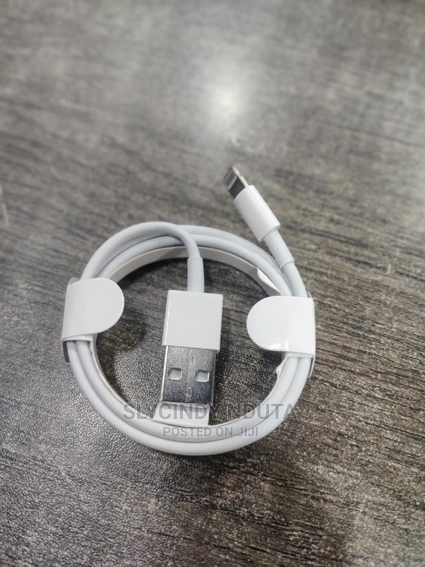 Original iPhone Charging Cables - thumbnail 2