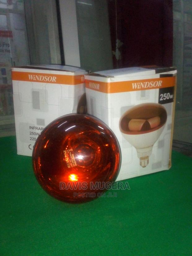 Chicks Brooder Lamp Piglet Infrared Heating Bulbs 250w - thumbnail 3