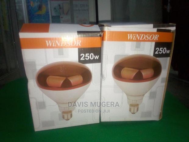 Chicks Brooder Lamp Piglet Infrared Heating Bulbs 250w - thumbnail 4