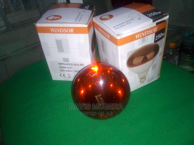 Chicks Brooder Lamp Piglet Infrared Heating Bulbs 250w - main view
