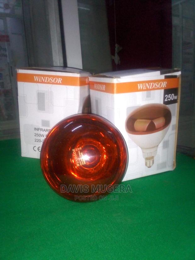 Chicks Brooder Lamp Piglet Infrared Heating Bulbs 250w - thumbnail 5