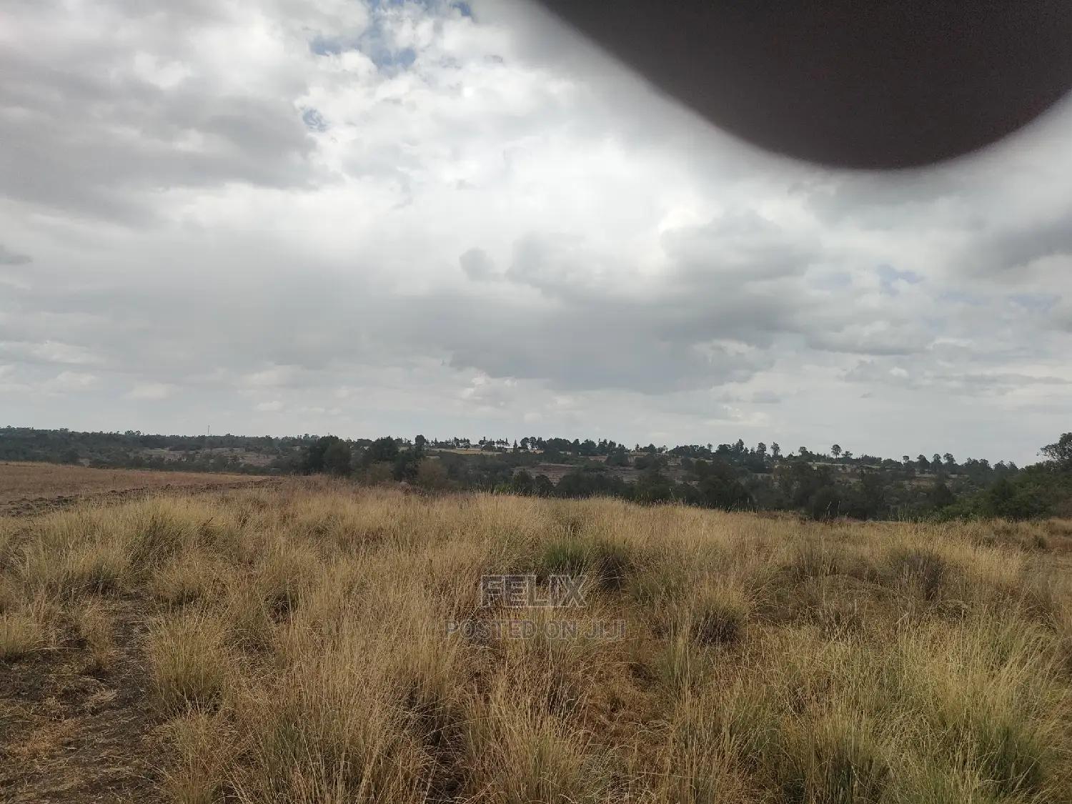 10 Acres Narumoru/ Blueline Rongai