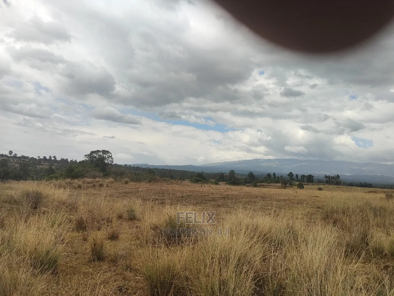 10 Acres Narumoru/ Blueline Rongai