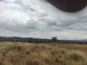 10 Acres Narumoru/ Blueline Rongai