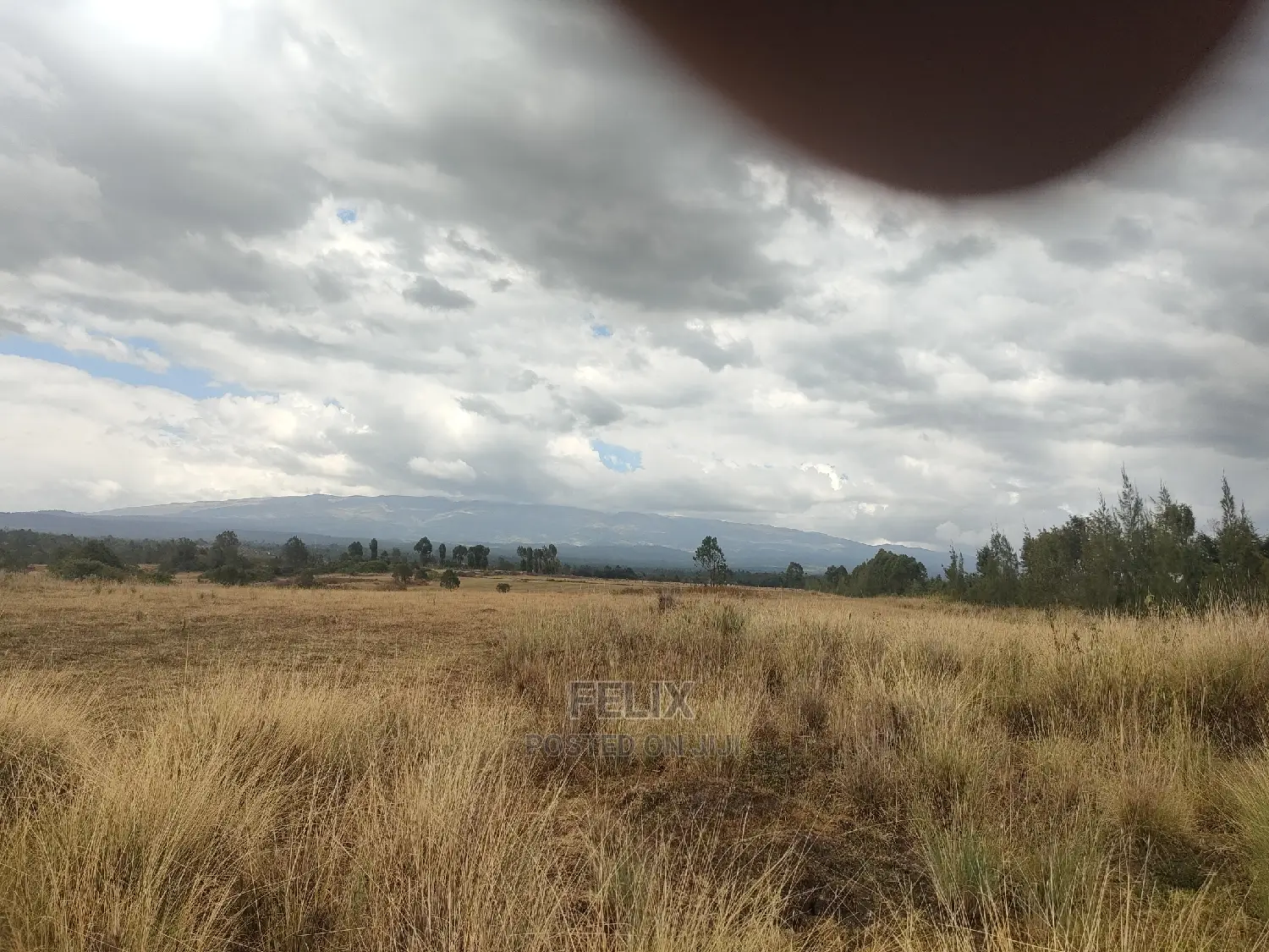 10 Acres Narumoru/ Blueline Rongai