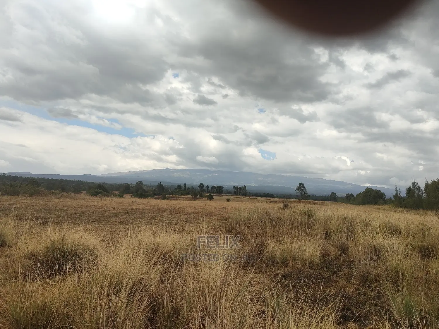 10 Acres Narumoru/ Blueline Rongai