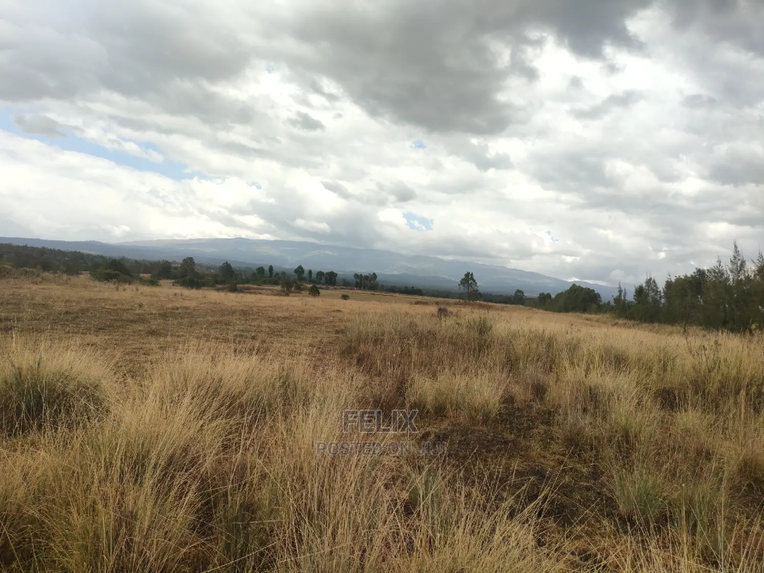 10 Acres Narumoru/ Blueline Rongai