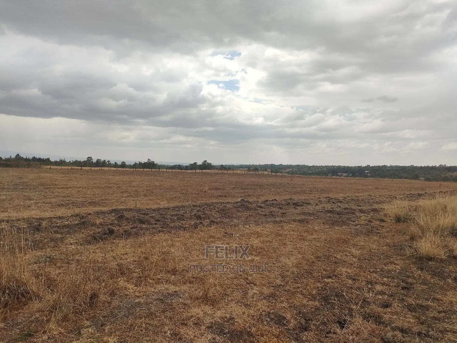 10 Acres Narumoru/ Blueline Rongai
