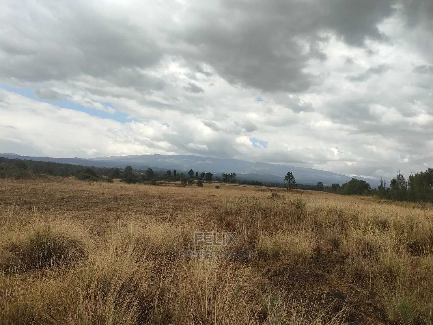 10 Acres Narumoru/ Blueline Rongai