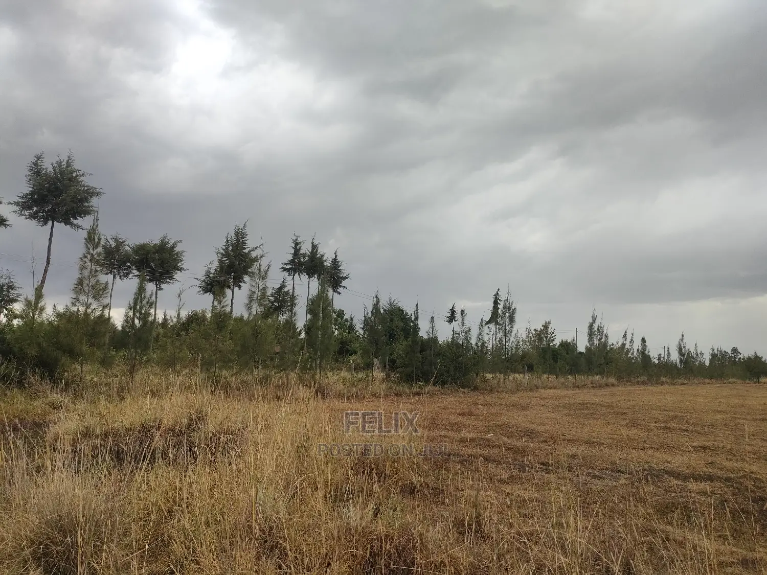 10 Acres Narumoru/ Blueline Rongai