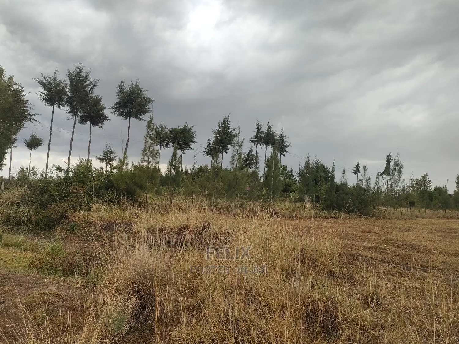 10 Acres Narumoru/ Blueline Rongai