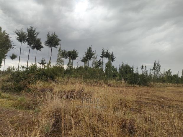 10 Acres Narumoru/ Blueline Rongai - thumbnail 10