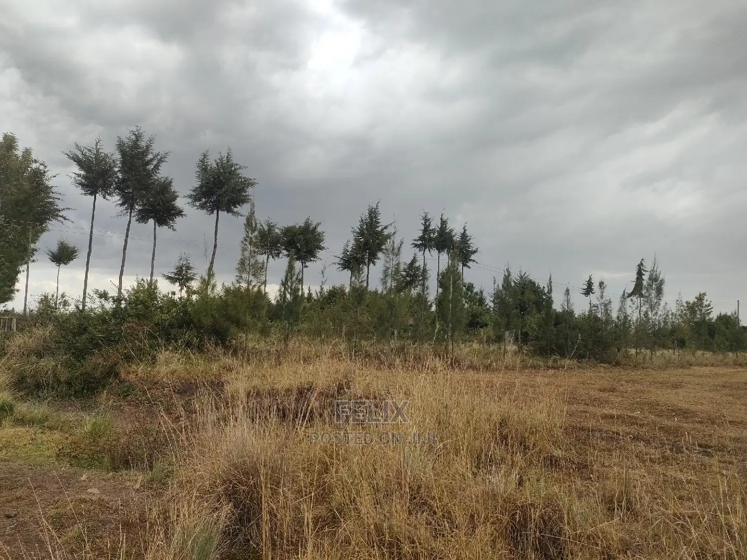 10 Acres Narumoru/ Blueline Rongai
