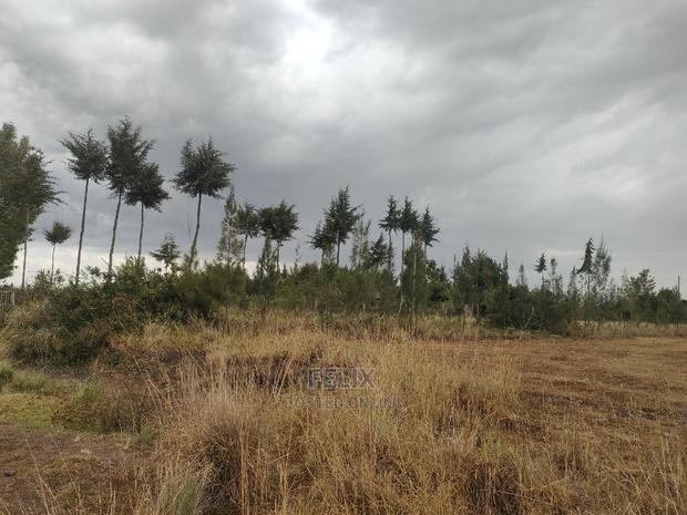 10 Acres Narumoru/ Blueline Rongai - thumbnail 11