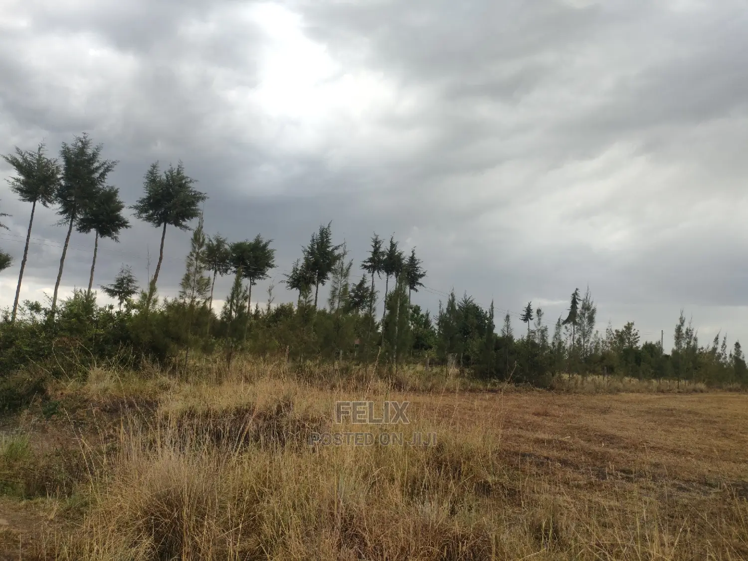 10 Acres Narumoru/ Blueline Rongai