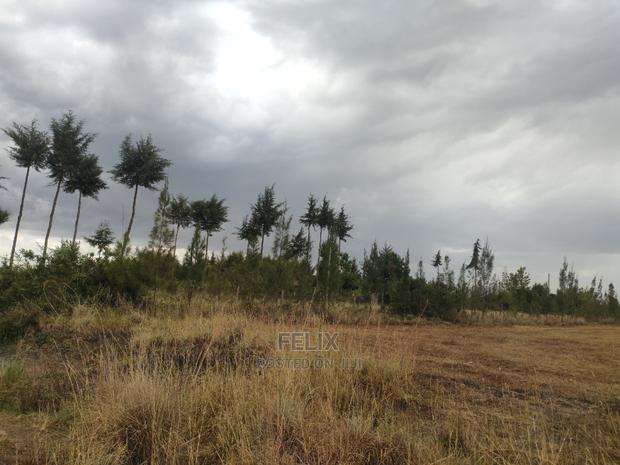 10 Acres Narumoru/ Blueline Rongai - thumbnail 12