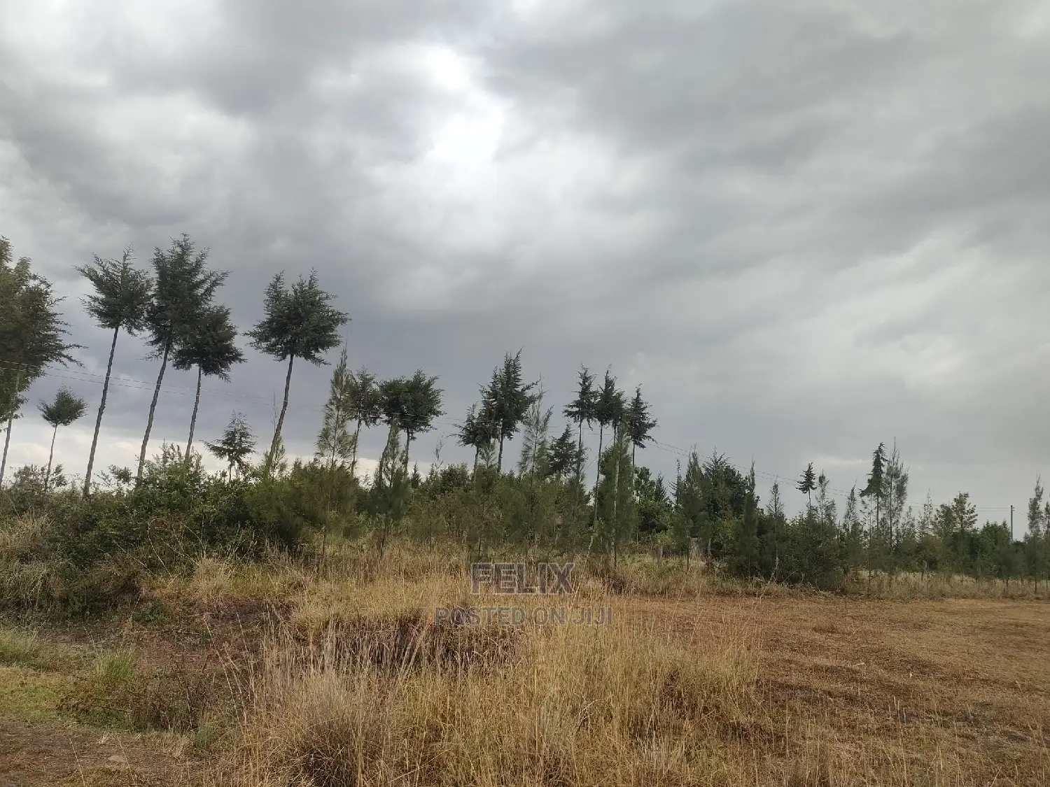 10 Acres Narumoru/ Blueline Rongai
