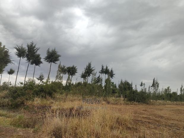 10 Acres Narumoru/ Blueline Rongai - thumbnail 13