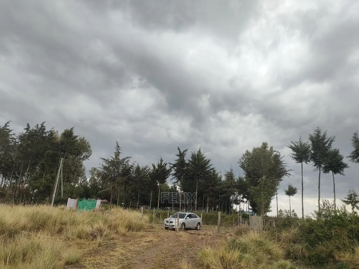 10 Acres Narumoru/ Blueline Rongai
